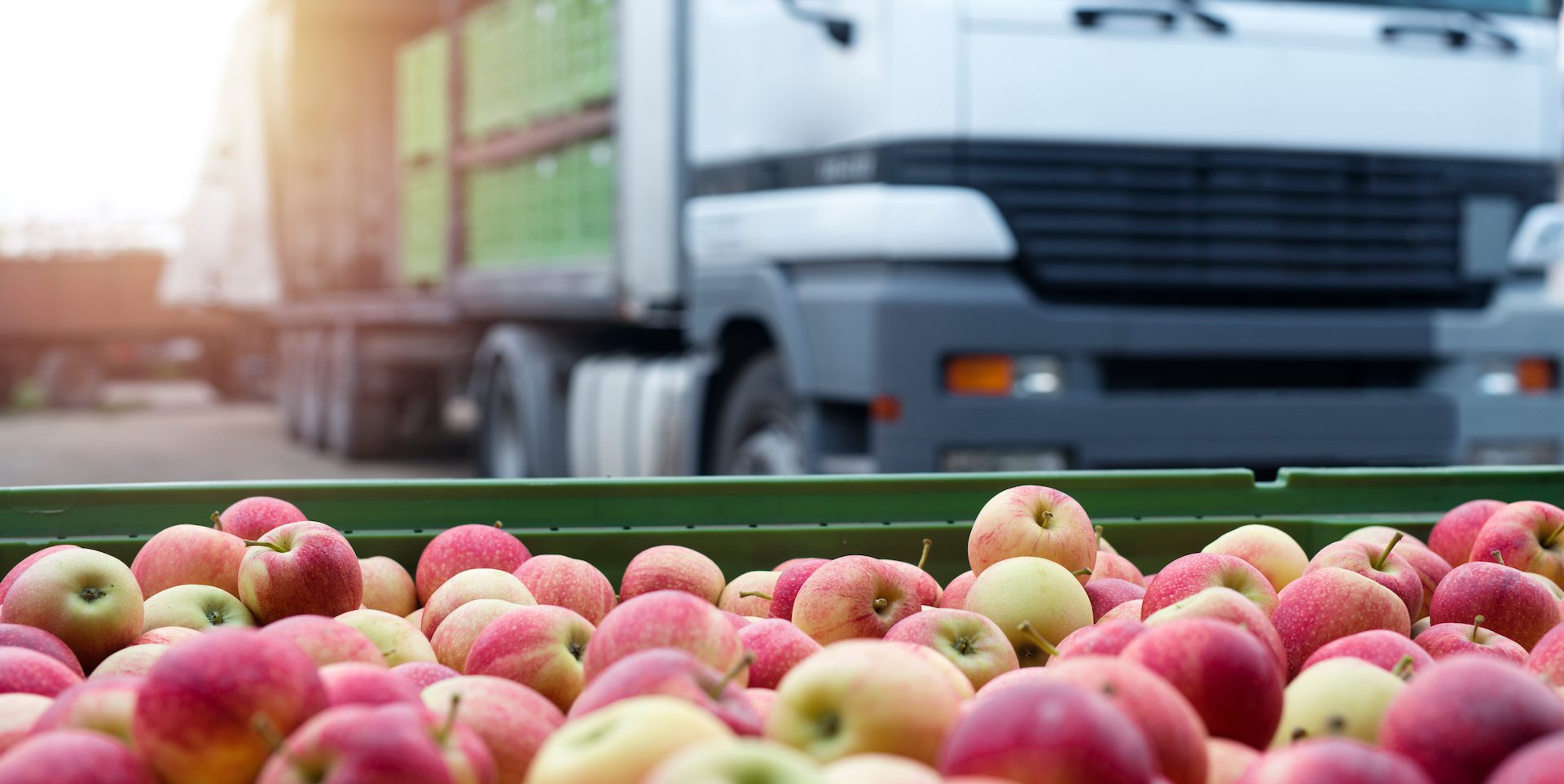 توسعه تجاری کریدور شمال – جنوب