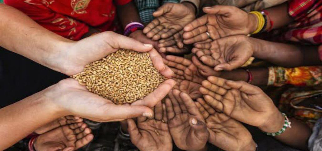 فرصت پیش روی مجلس دوازدهم برای ایجاد زمینه‌ی حضور ایران در عرصه امنیت غذایی جهانی - هاب - هاب