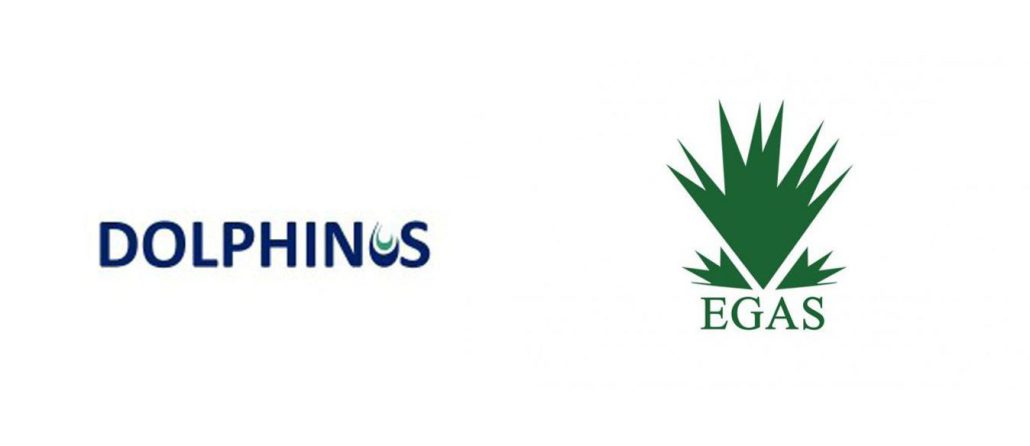 همکاری شرکت‌های Dolphinos و East Gas مصر با شرکت اسرائیلی New Med Energy، فعال در زنجیره تامین گاز رژیم صهیونیستی - همکاری - همکاری